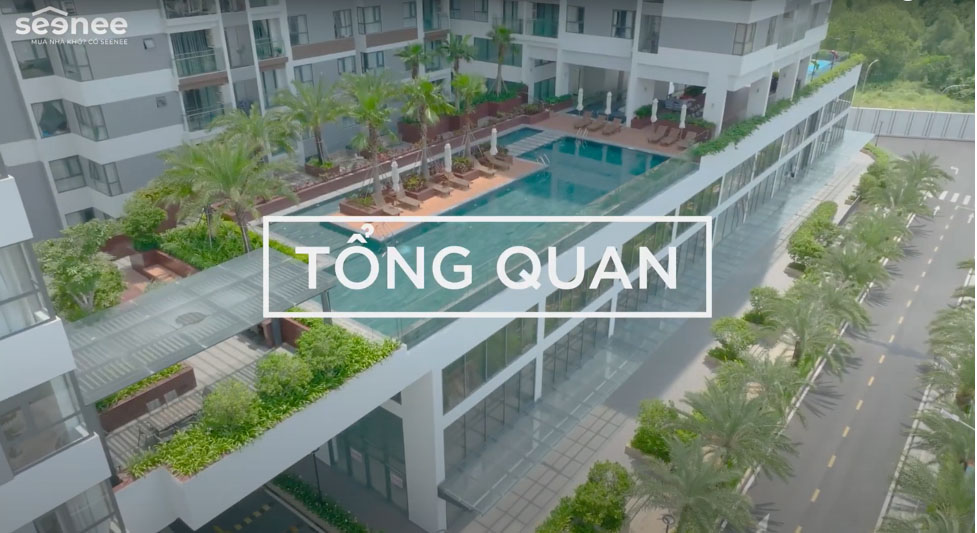 tổng quan dự án D'lusso