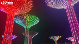 công viên ánh sáng quận 9 về đêm